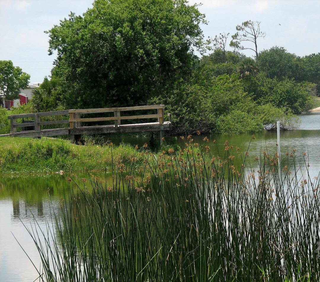 Saddle Creek, Florida