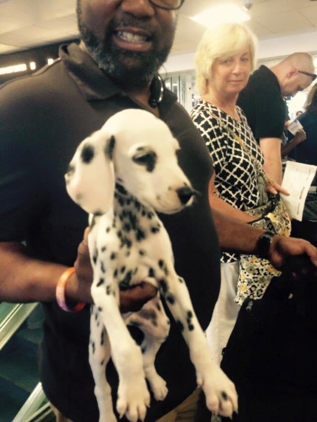 Is that's not the cutest puppy ever
