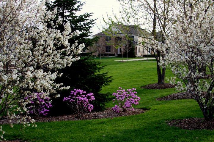 Dean Santefort's album, Spring is here