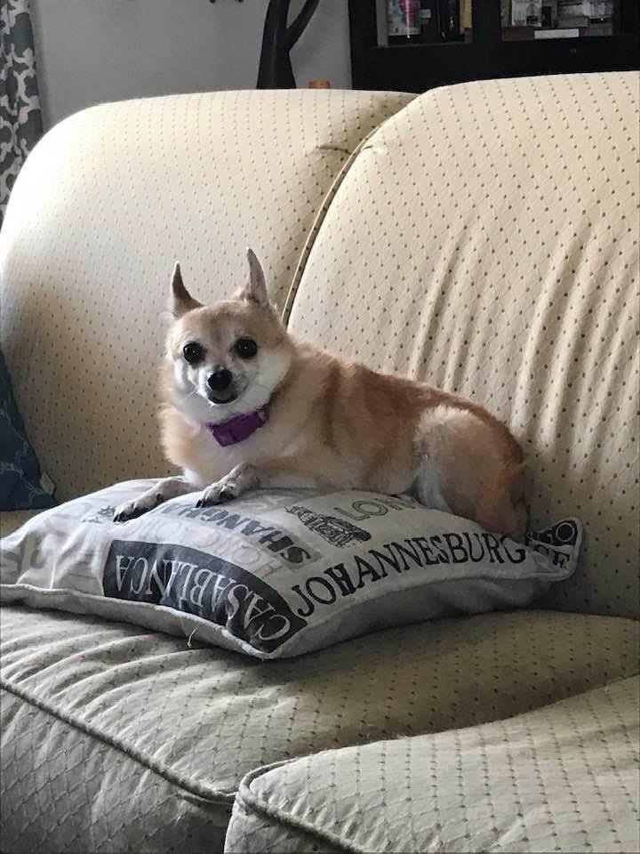 Princess Piglet