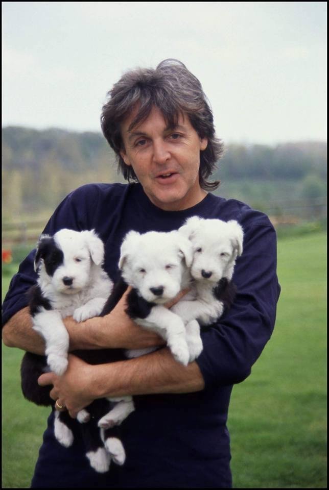 Happy bday Susie Neet..Paul got you some puppies!! Have a great day my friend 👭