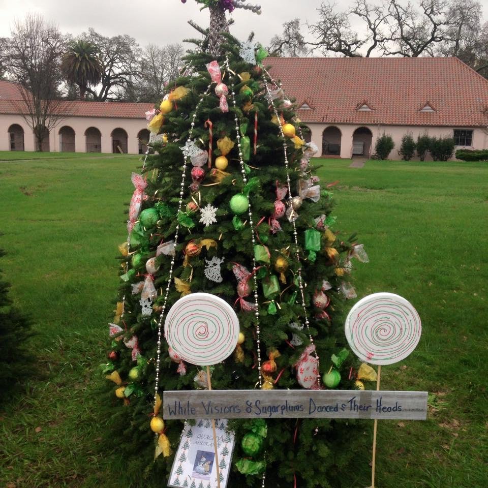 This is the Christmas Tree put together by Quality Assurance at Sonoma Developmental Center!!