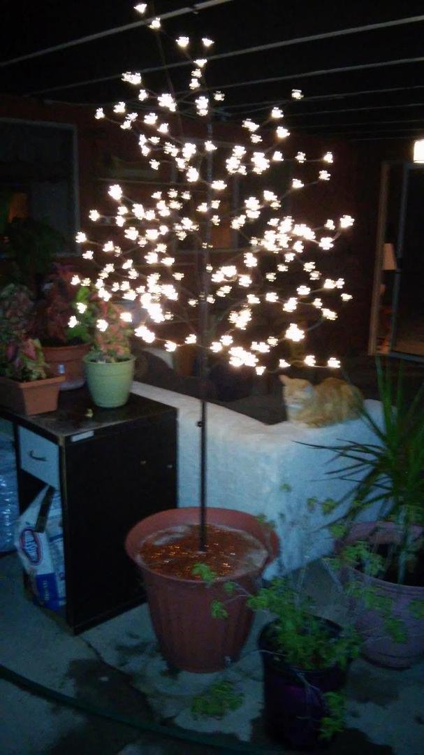 My pretty new tree.