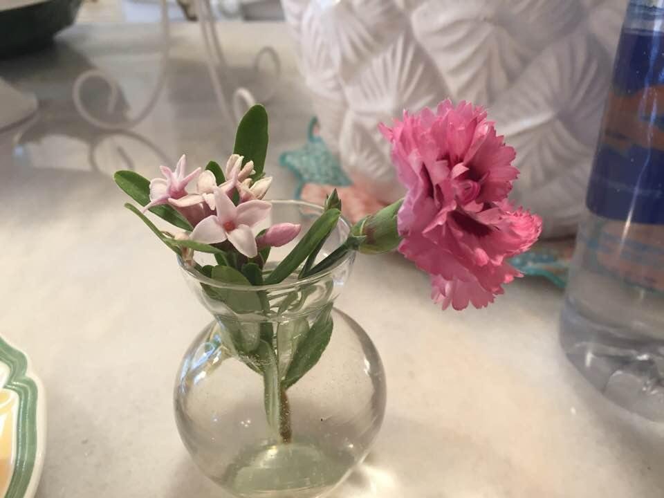 Sharon Blodgett's album, Timeline Photos