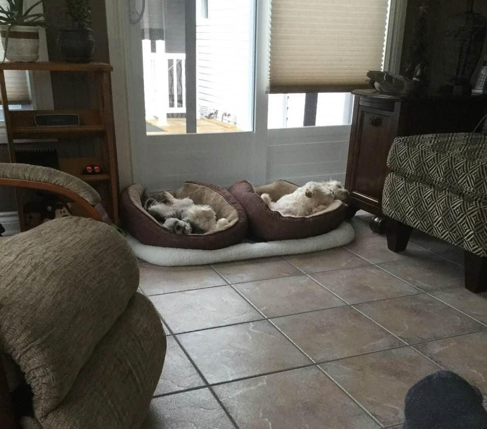 .lazy morning