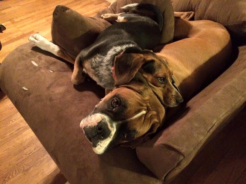 These two......
