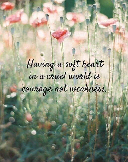 Mary Robinson's album, Timeline Photos