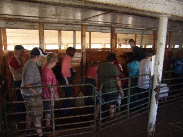Maynard Clark's album, Maple Farm Animal Sanctuary