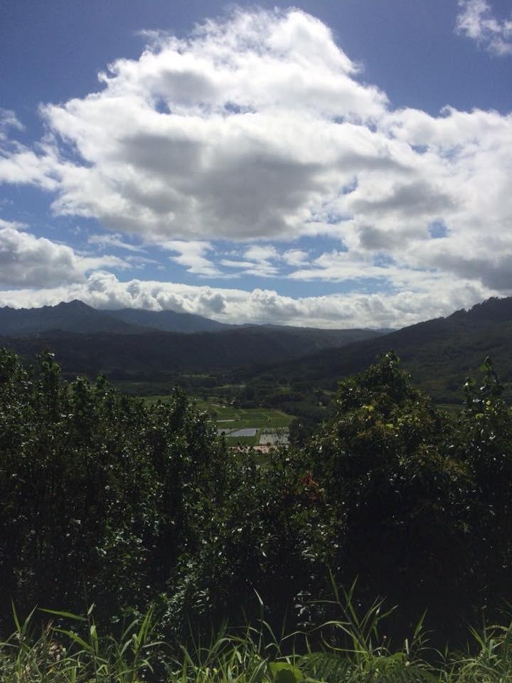 Will Johnson's album, Mobile Uploads