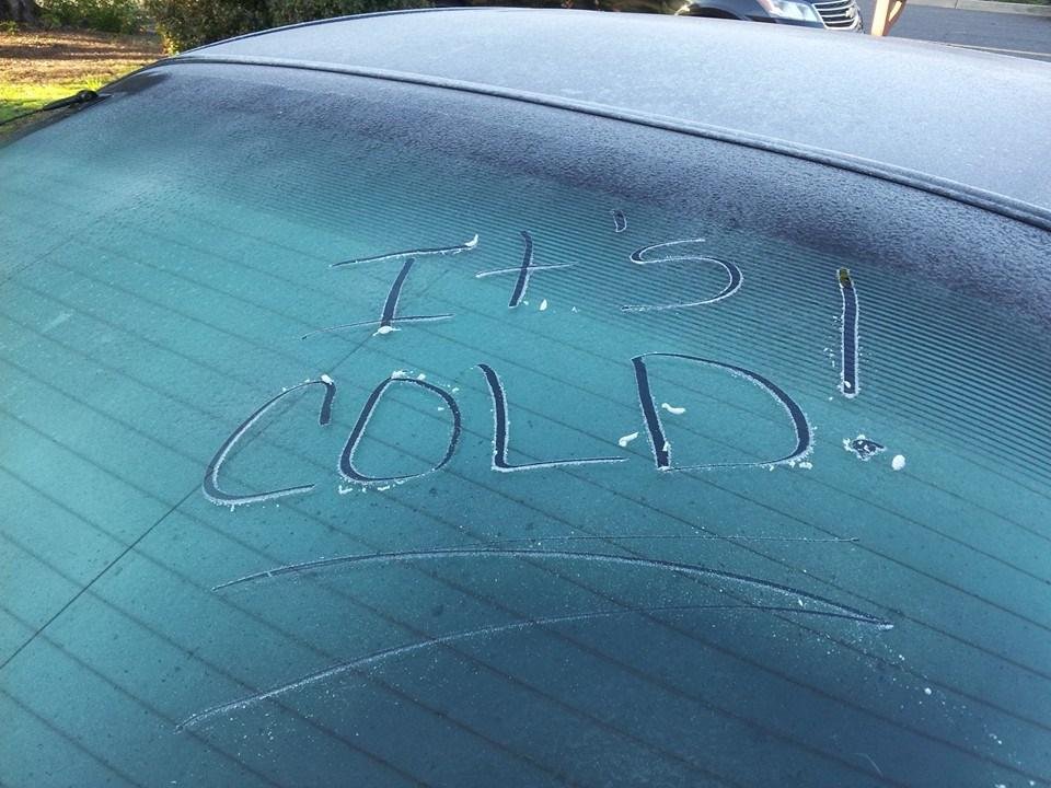On my back window of my car...brrrr
