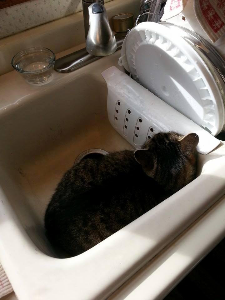 Dinner will be late...