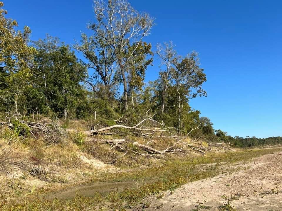 The silent power of water…
Trinity River 6 miles below the Lake Livingston Dam.