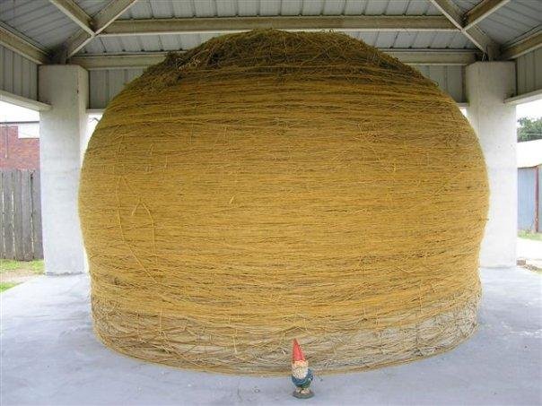 World's largest
BALL of TWINE