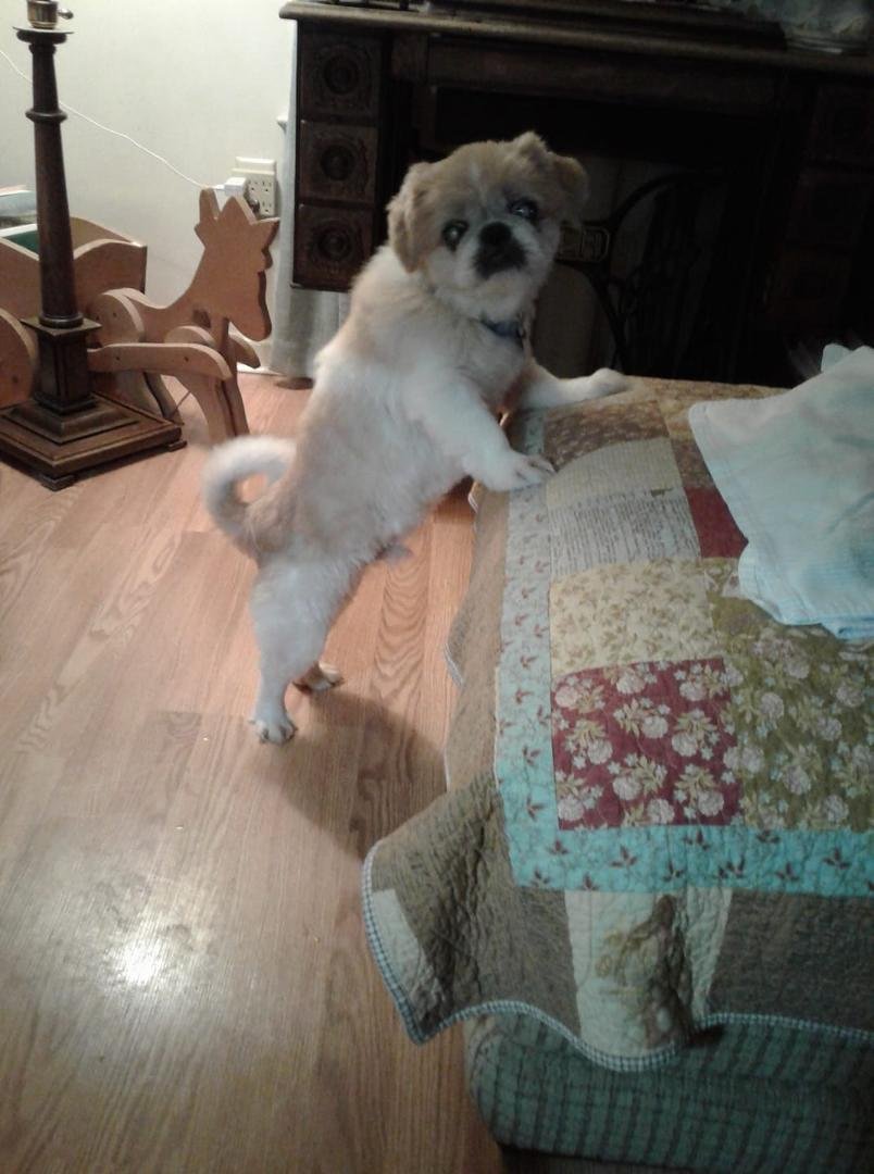 Hey, I really want up.