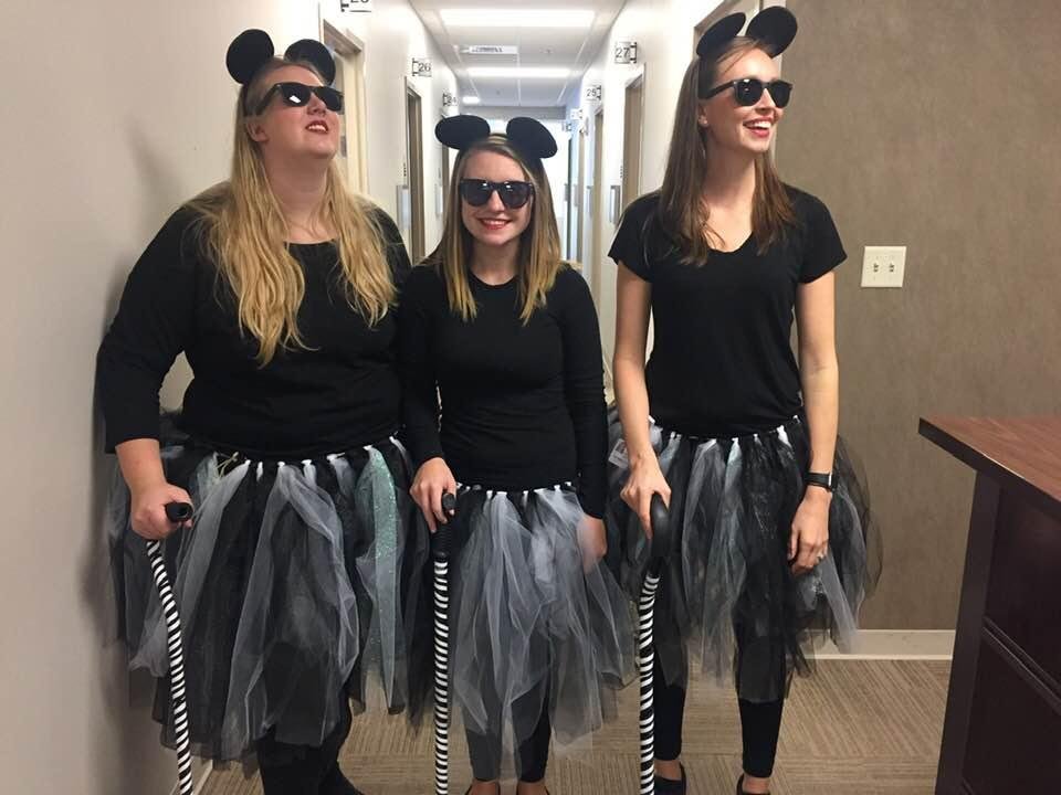Today at work , the 3 blind mice showed up!!!!!❤️