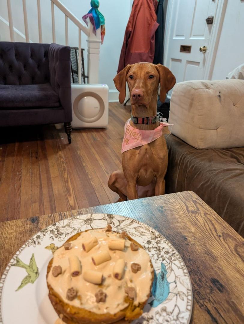 Sophie is always interested in anything.