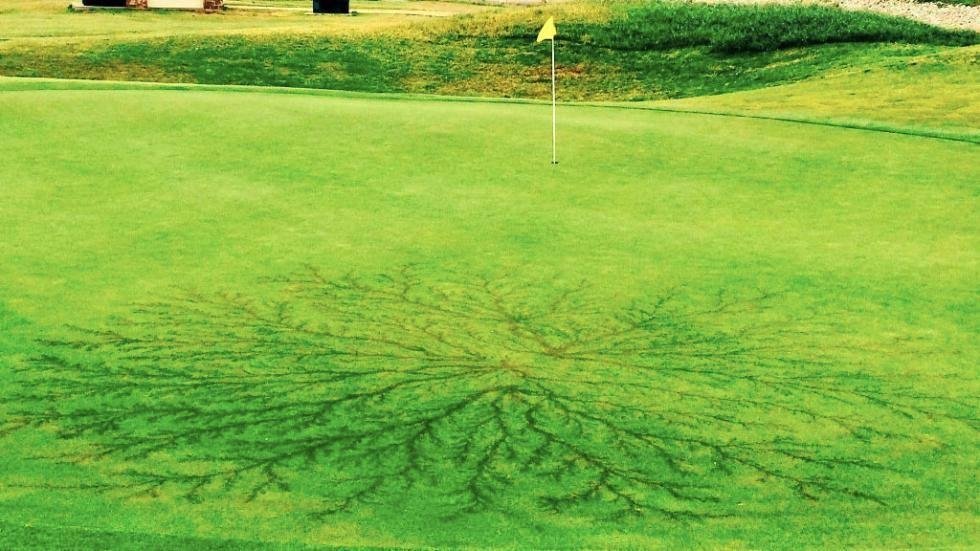 Aftermath of a lightning strike on the 15th hole at Weeks Park Golf Club in Wichita Falls, Texas, on May 17, 2016.
(Anna Garcia/Twitter)