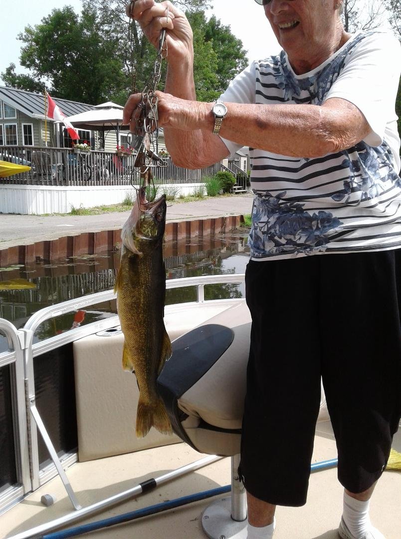 nice pickerel Carolyn caught