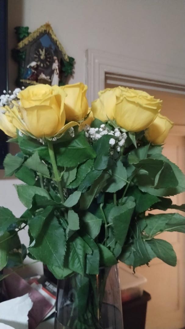 Thanks Nancy for your lovely flowers!