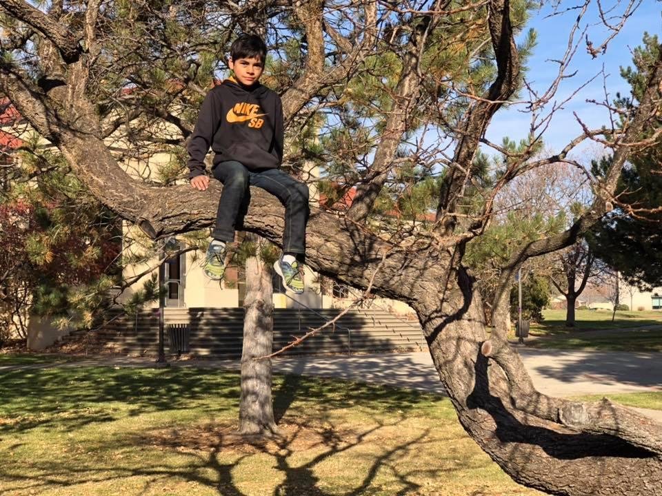 Jae up a tree, not sure why that box is around his face.