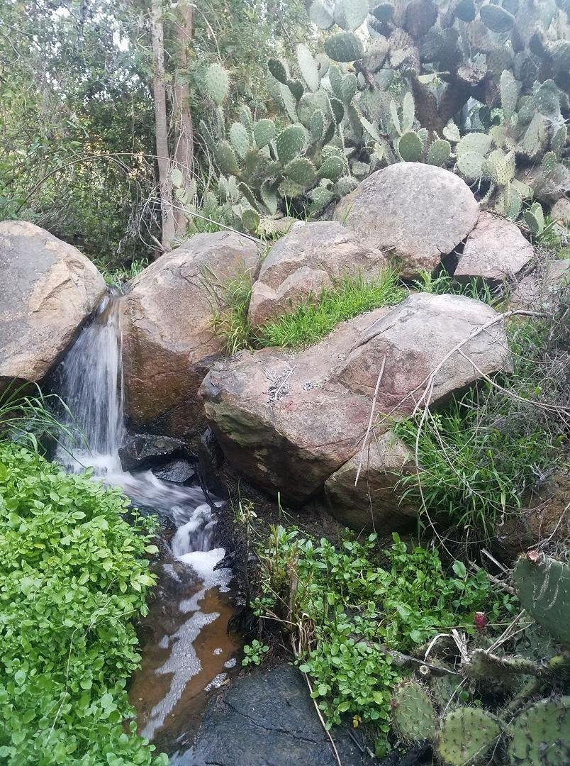 In case anyone thinks San Diego is a desert.