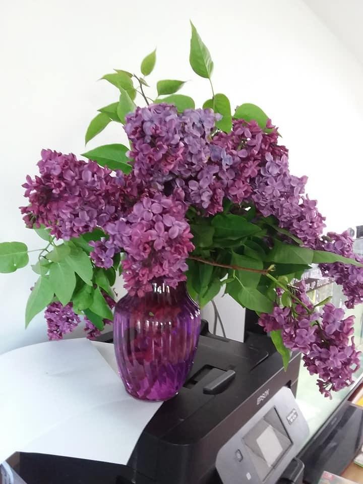 Barbara Reid's album, Mobile Uploads