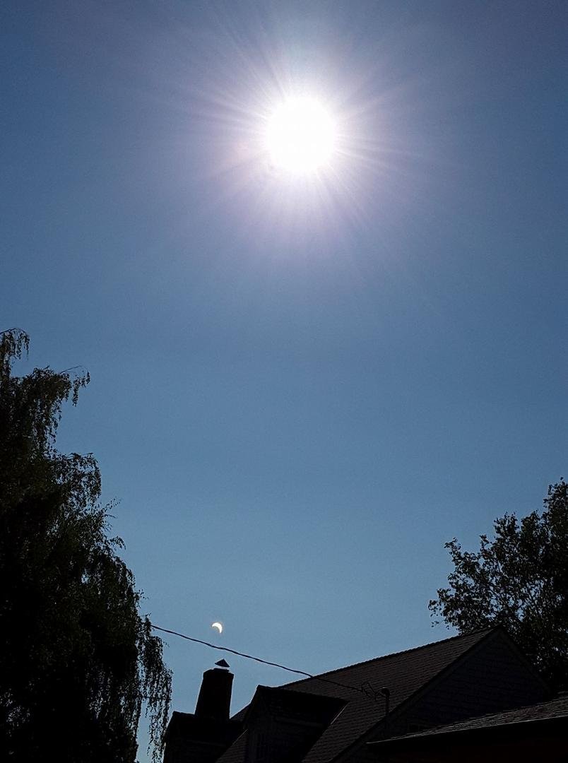 Don't know what this is called, but the camera lens picked up the eclipse lower in the sky
