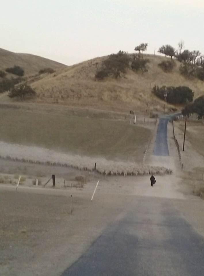 Daughter sent photo of traffic jam on her way to work this morning.