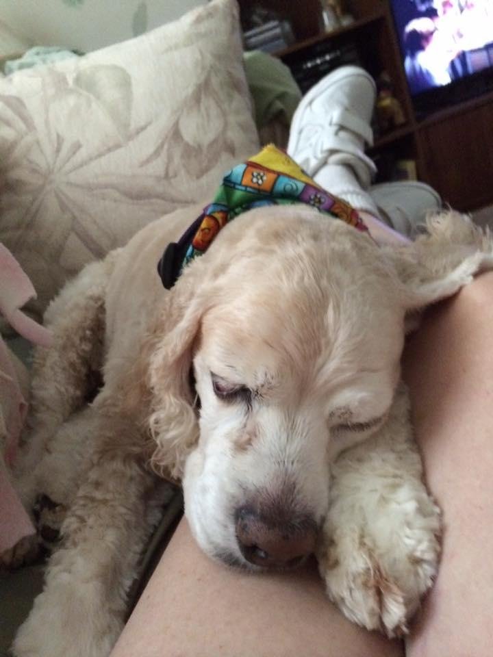 Today my baby, Lexie turns 14 years old.