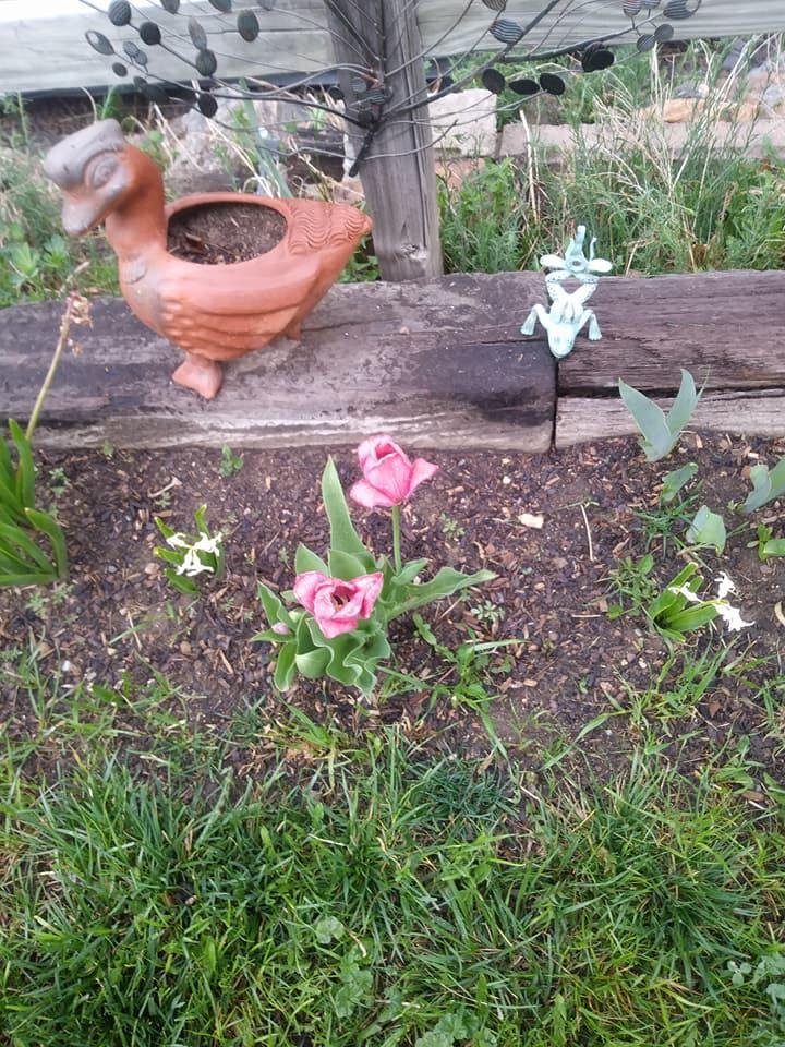 Deborah Ortega's album, Timeline Photos