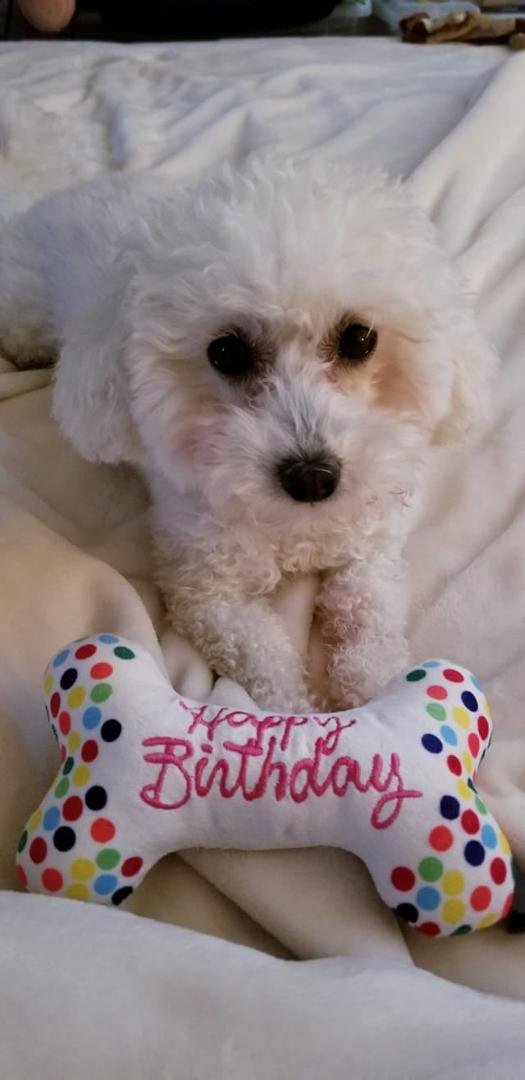 Myself & Judy Koenig would like to thank you for your prayers an birthday wishes for my niece Cherie. She is doing a lot better. Tis is a picture of her with a gift from her Aunt Sarah <3