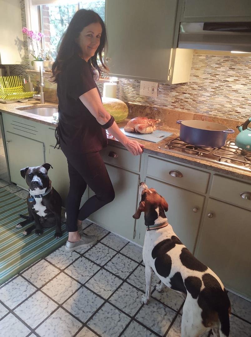 Dogs giving up on squirrels and chipmunks are hunting chickens again!