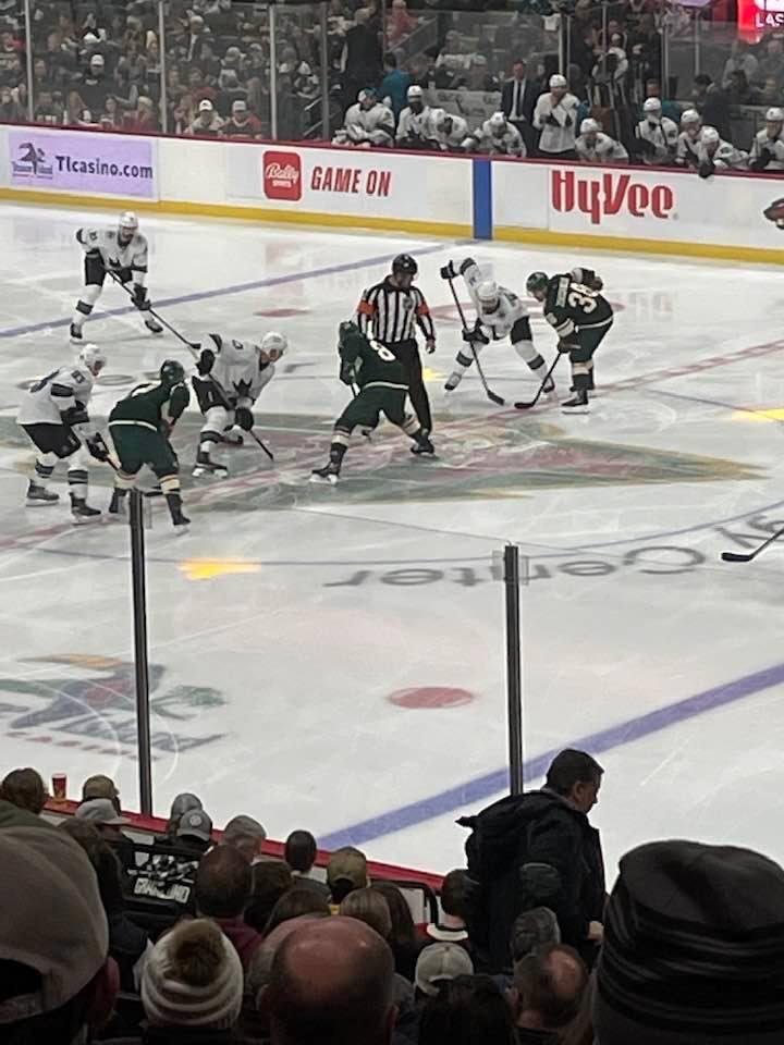 At the Wild game