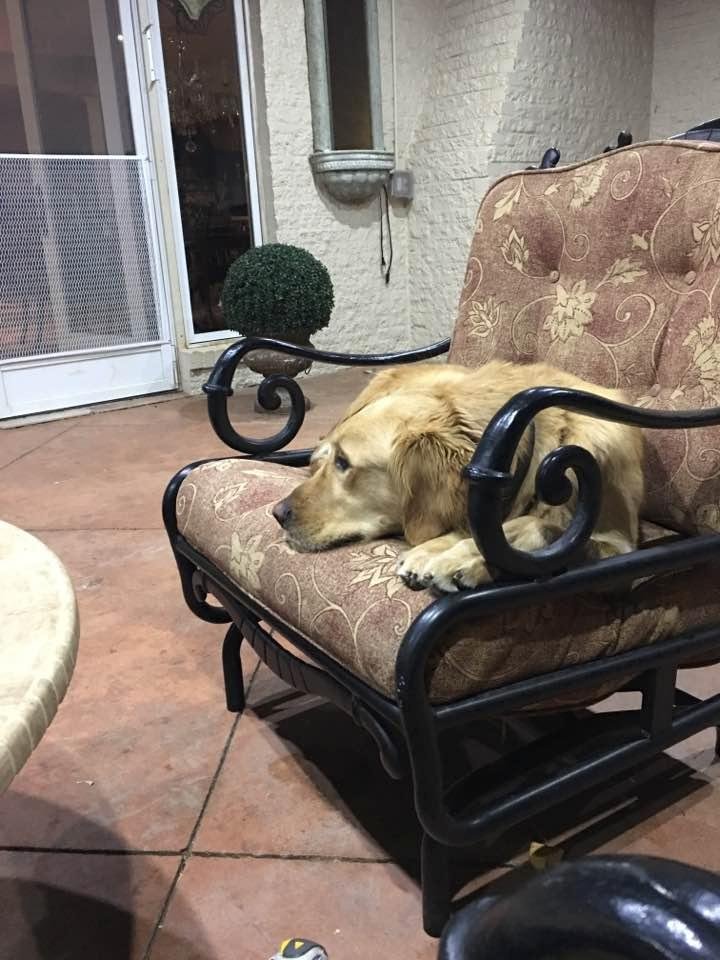 Watching Susan during book club