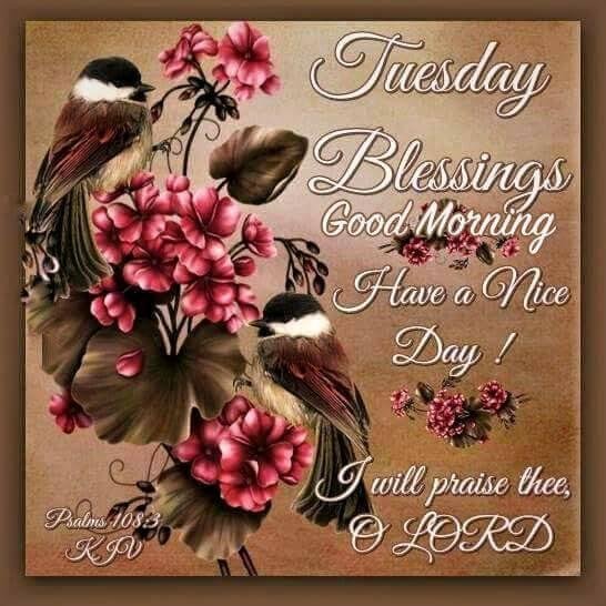 Sherry Greenlee's album, Mobile Uploads