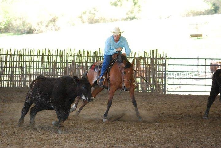 in the practice pen