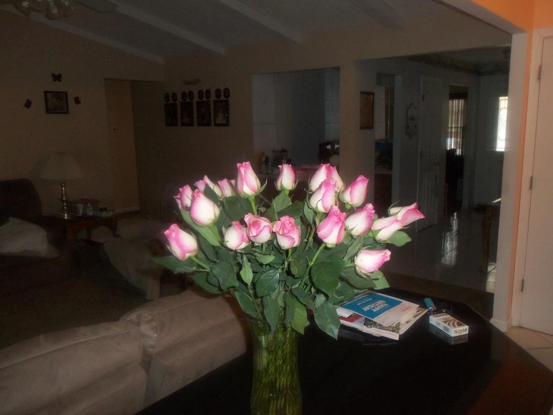 My brother and his wife gave me these roses for my birthday. 2 dozen. I have never got that many together in my life. wander what he wants............