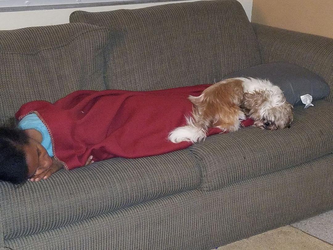 You can see It, but Bam-bam is looking at us. Playing sleep. He is not suppose to be on the couch.😃