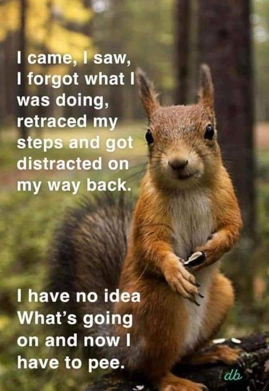 Found this on a friends website.