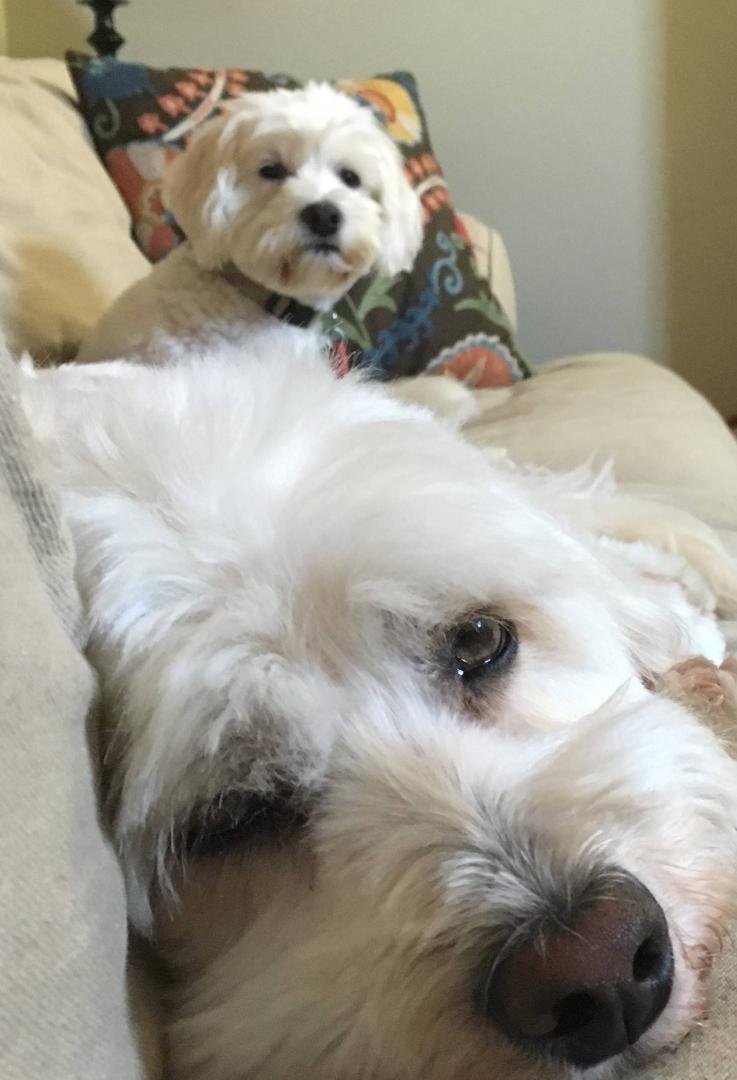 Watching TV