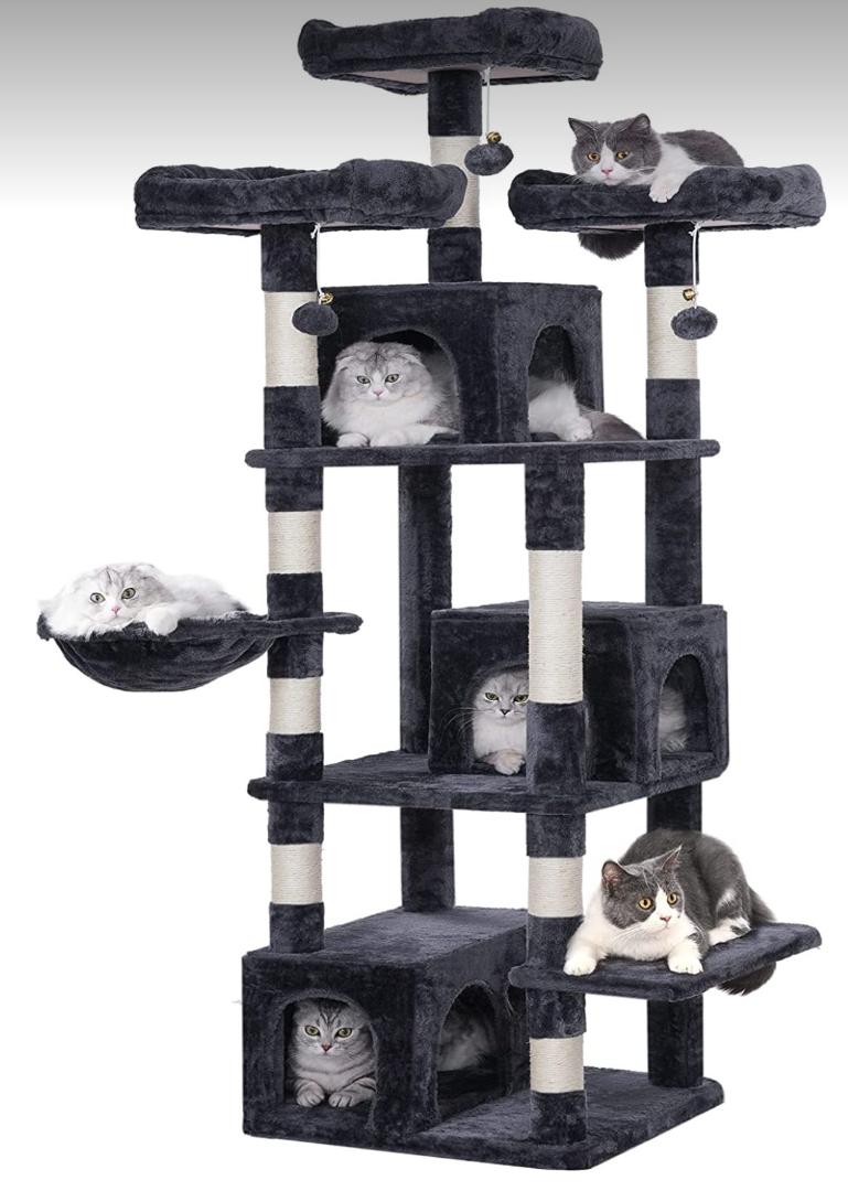 Look what I ordered for my kitties! It has everything but a bathroom and kitchen. If I get evicted maybe my kitties will let me move in with them.