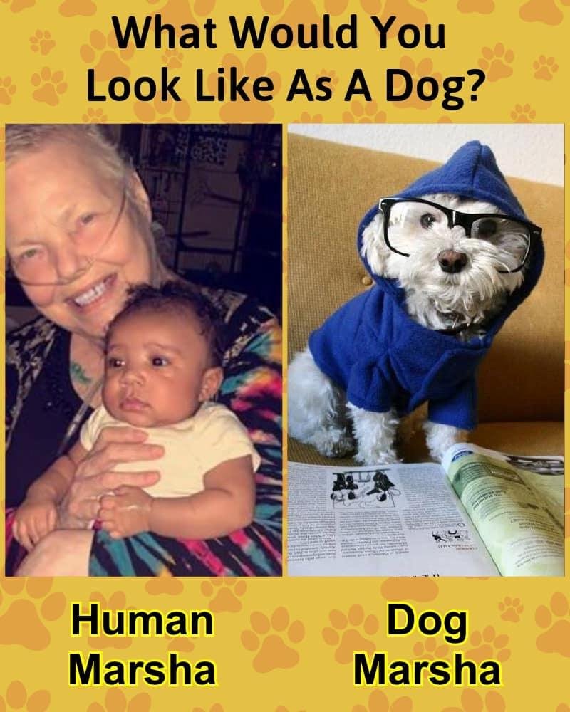 Marsha Shortland's album, Timeline Photos