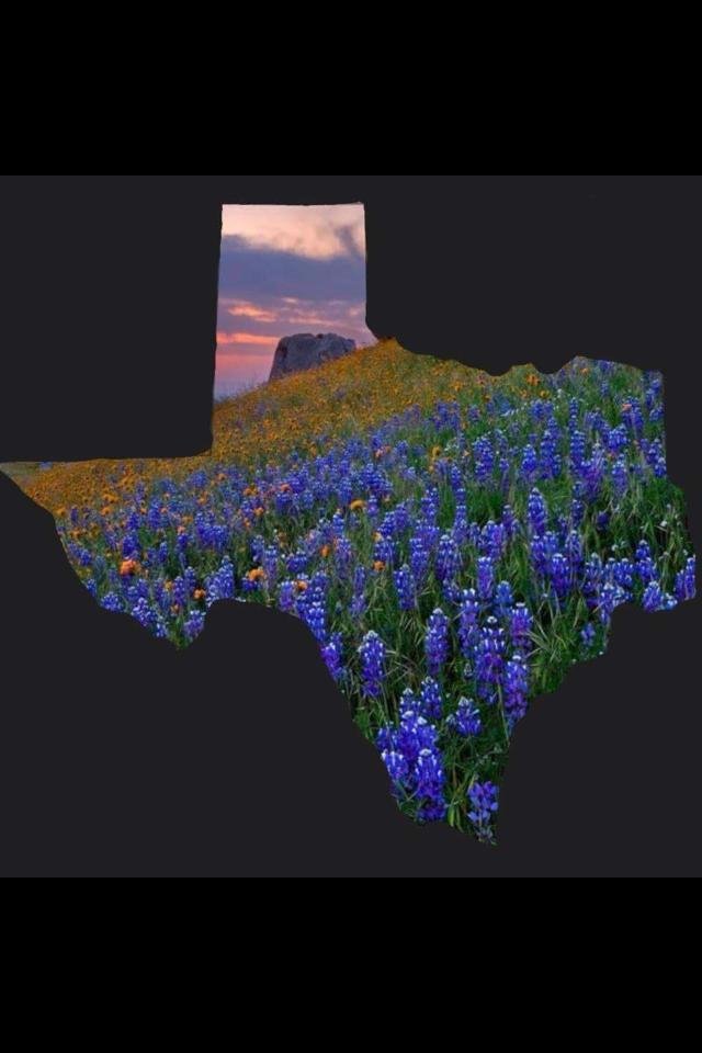 Jim Turner's album, Mobile Uploads