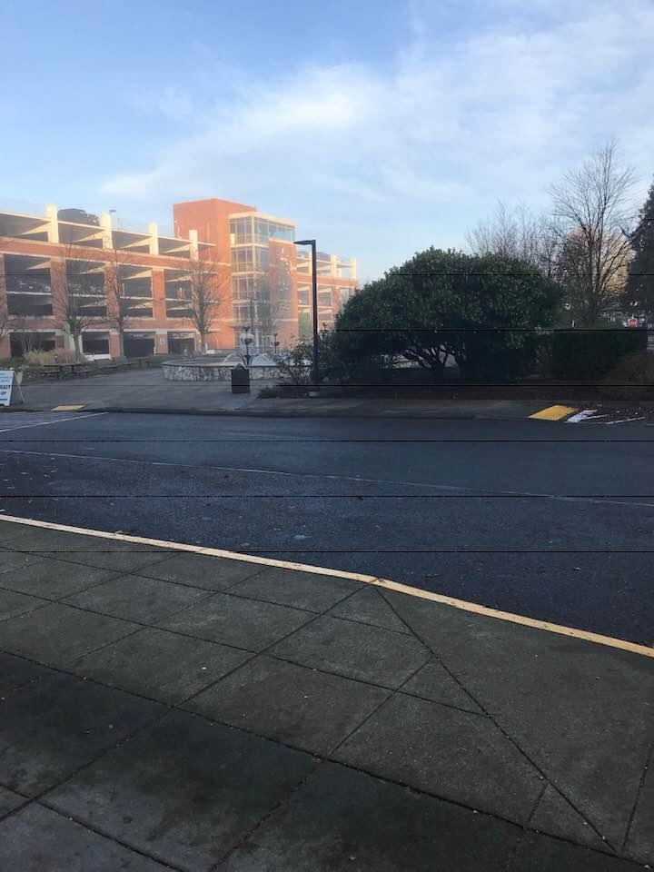Good morning Seattle! Cold and foggy. Up at 3 to catch the 6:10 ferry.