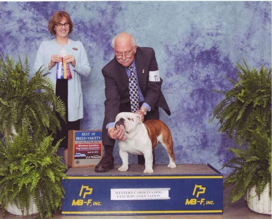 Digby's Best of Breed from Bred By in Waynesville last week.