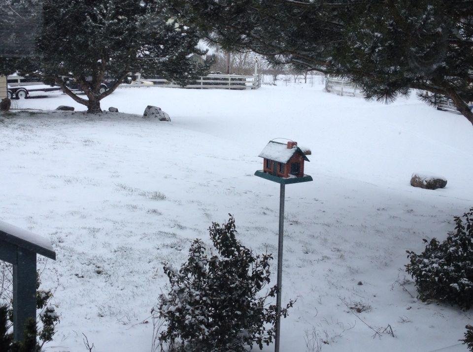 Front yard of our house in
Jefferson, Oregon