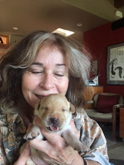 Hey good people. Take a look at my 16 day old puppy with human Momma and owner, JoAnn.