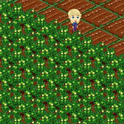 - FarmVille: http://apps.facebook.com/onthefarm/?ref=takePhoto&visitId=81800405