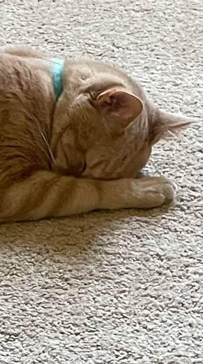 Dianne Murphy's album, Timeline photos