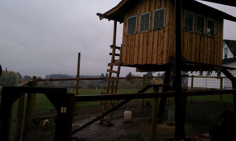 This is a fancy chicken coup.